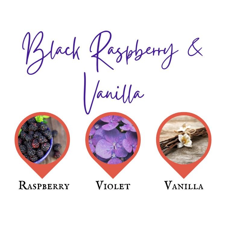 Black Raspberry & Vanilla Top Notes: Juicy Black Raspberry, Sweet Strawberry Middle Notes: Creamy Vanilla, Warm Floral Accents & Violet Base Notes: Musky Amber, Soft Woods