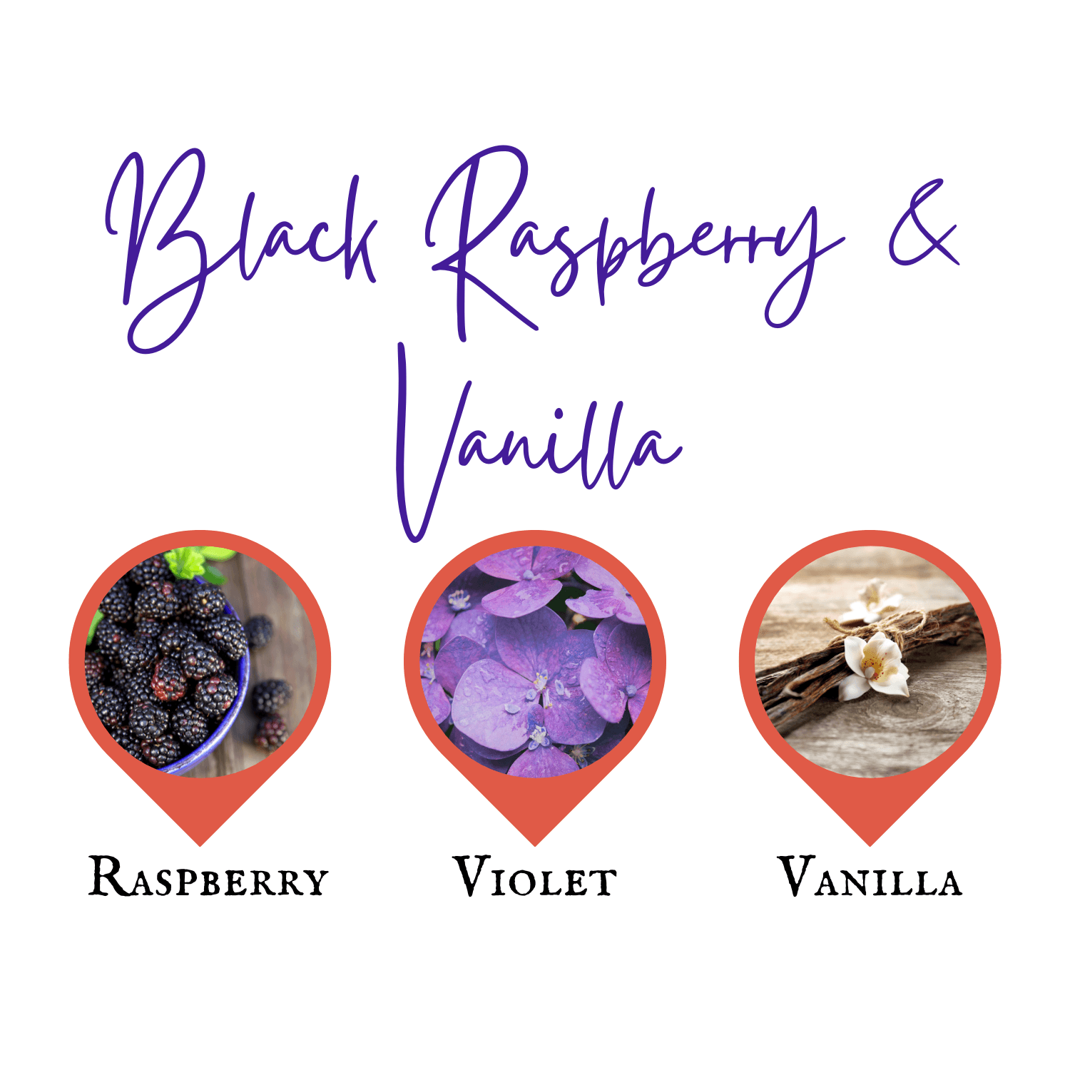 Black Raspberry & Vanilla | Reed Diffuser | Small - Reed Diffuser - Lottie Elizabeth Ltd