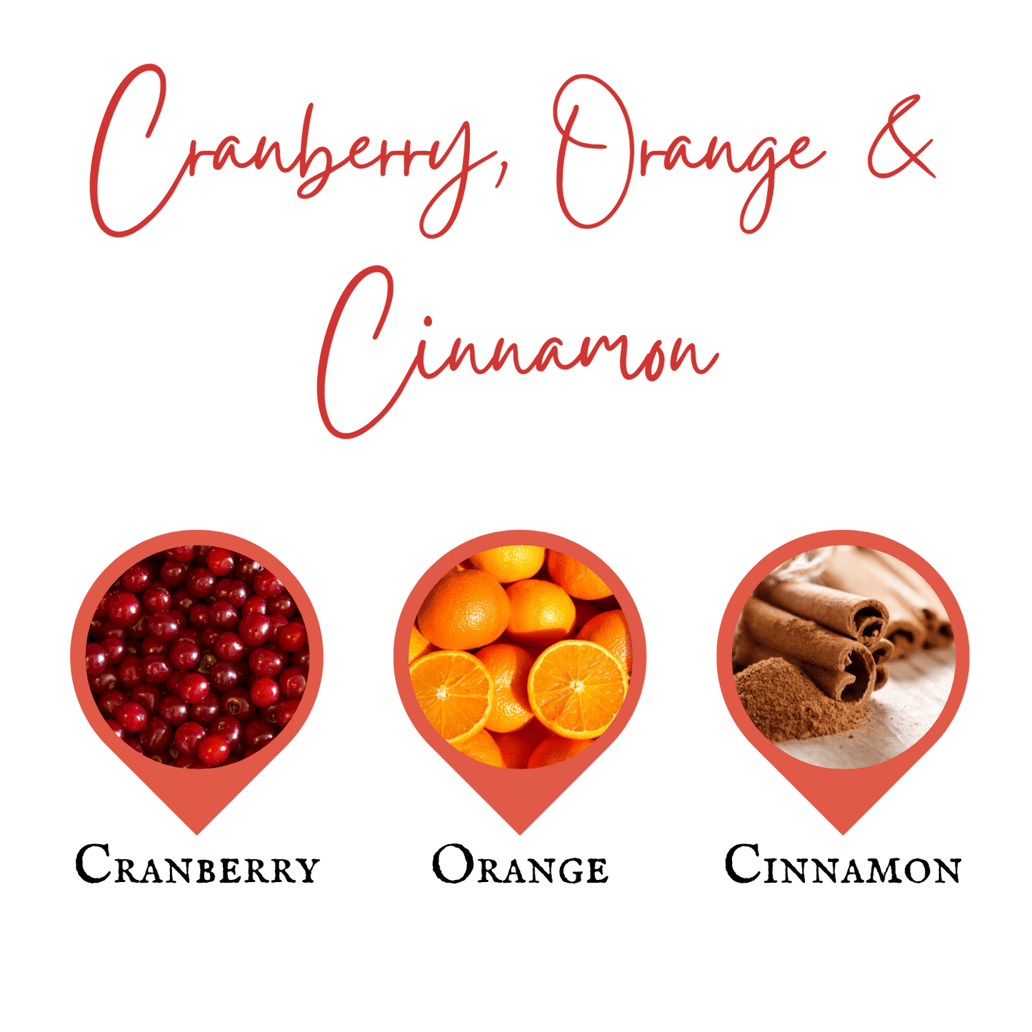 Cranberry Orange & Cinnamon | Wax Melt - Wax Melt - Lottie Elizabeth Ltd