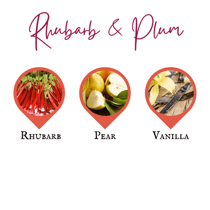 Rhubarb & Plum | Reed Diffuser | Small - Reed Diffuser - Lottie Elizabeth Ltd